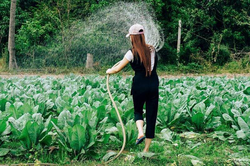 Arrosage du jardin : adopter les bons réflexes au fil des saisons
